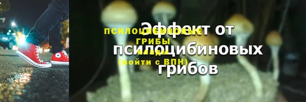 2c-b Абдулино